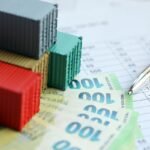 Establishing Subsidiary Company in Turkey