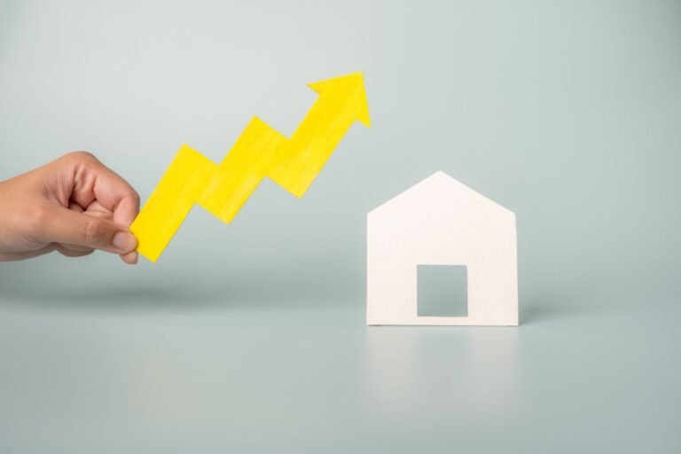 True Cost of Company Formation in Turkey