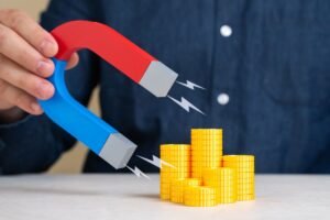 Free Zone Company Setup in Turkey